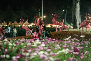 BIB: 
                            <button type="button" onclick="openModal(27337352)" class="btn btn-primary btn-sm float-right btn-popup" data-toggle="modal" data-target=".modal-high-quality">
                        <i class="fas fa-shopping-cart"></i> Add to Cart
                    </button>
                                            <button type="button" onclick="isThisMe(27337352, true)" class="btn btn-success btn-sm float-right btn-popup btn-isme hidden" data-toggle="tooltip" data-placement="bottom" title="นี่คือรูปของคุณใช่ไหม คลิกที่นี่เพื่อเอาเข้าอัลบั้ม">
                        <i class="fas fa-plus"></i> Add to album
                    </button>
                    <button type="button" onclick="isThisMe(27337352, false)" class="btn btn-warning btn-sm float-right btn-popup btn-isnotme hidden">
                        <i class="fas fa-ban"></i> Remove from album
                    </button>